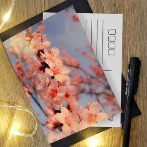 Tavaszi fényképes képeslapok 3