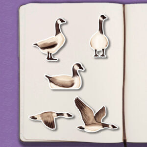 Költöző madarak dekor matrica csomagok