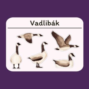 Költöző madarak matricaívek